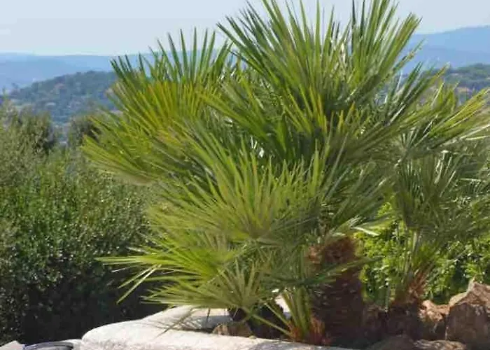 Quiet 4 Bedrooms Full Sea View Heated Pool * Sainte-Maxime